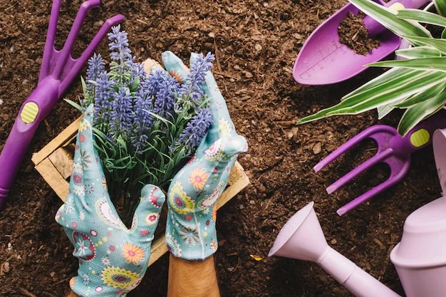 Gloved hands holding a bunch of lavender over dark soil, with a rake and trowels lying beside it